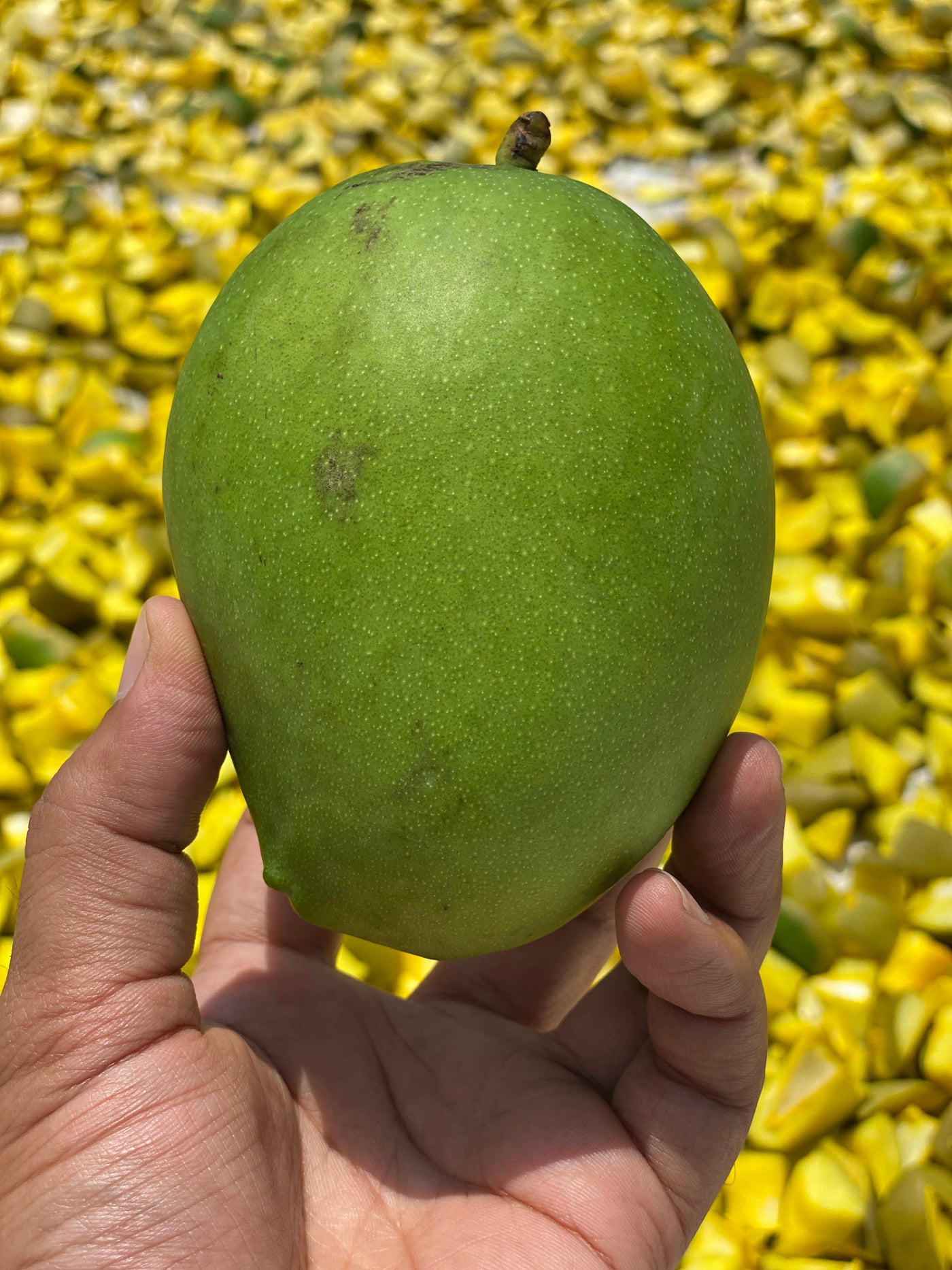 Rooted in regional authenticity.