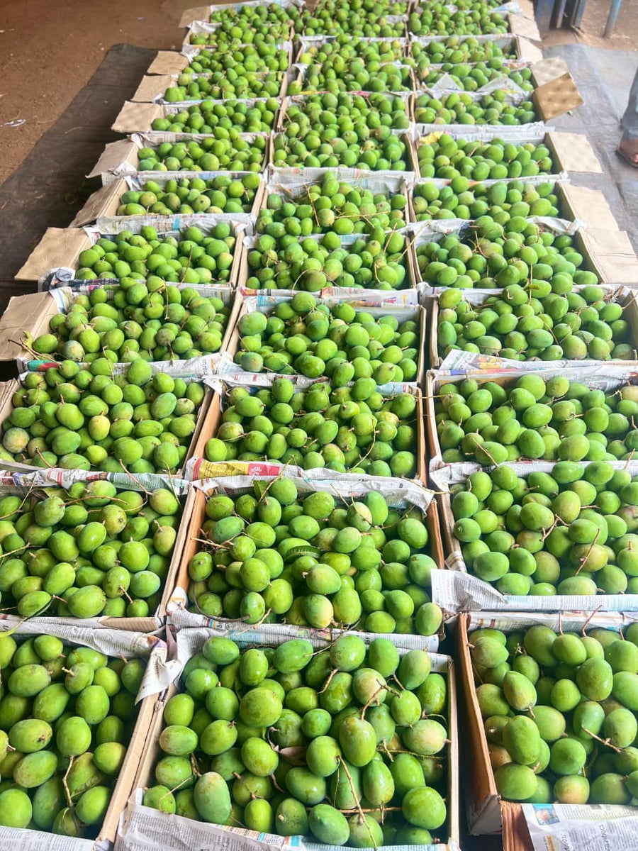 BORN IN NATURE, CRAFTED BY HOMEPICK