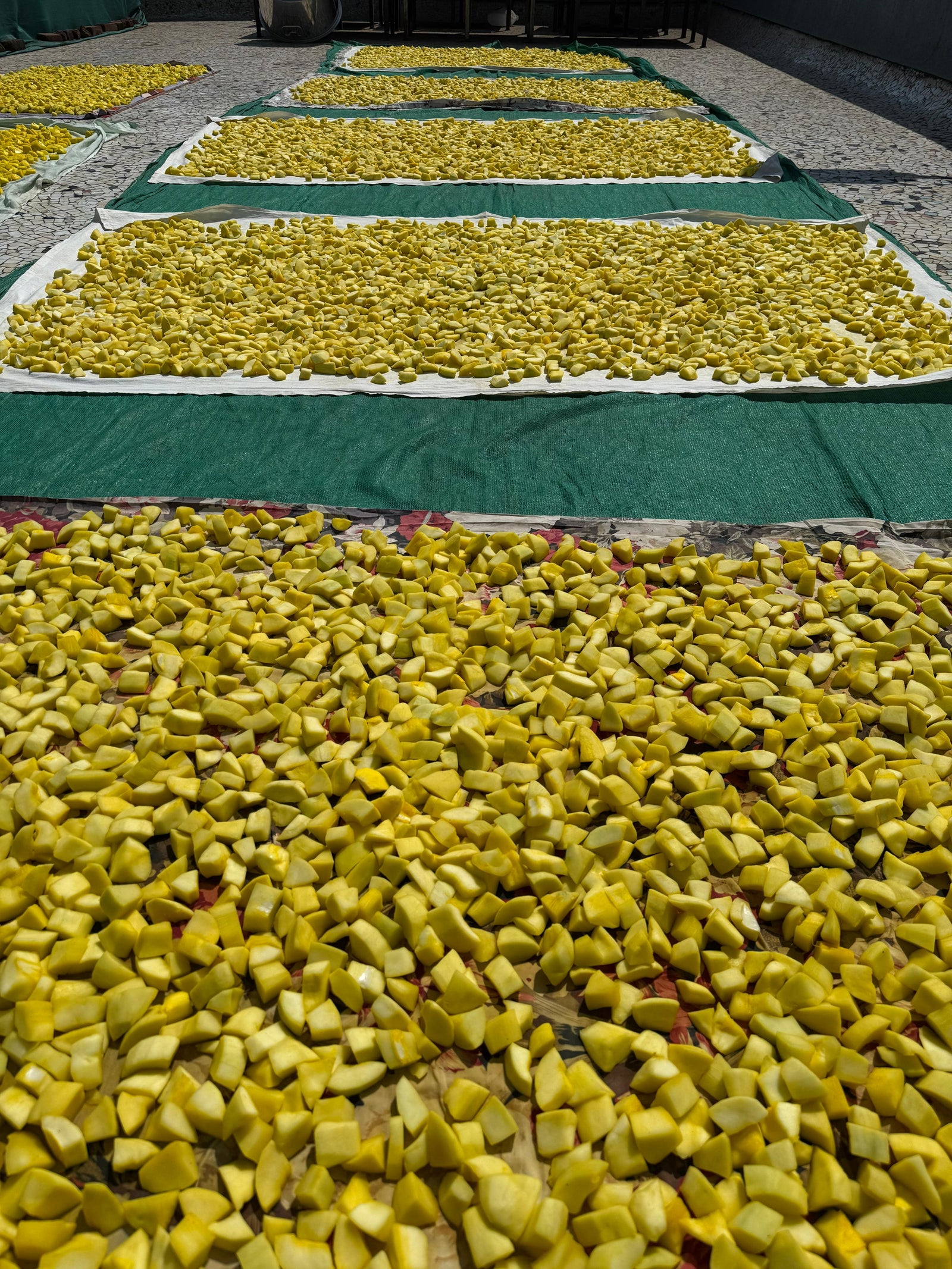 BORN IN NATURE, CRAFTED BY HOMEPICK